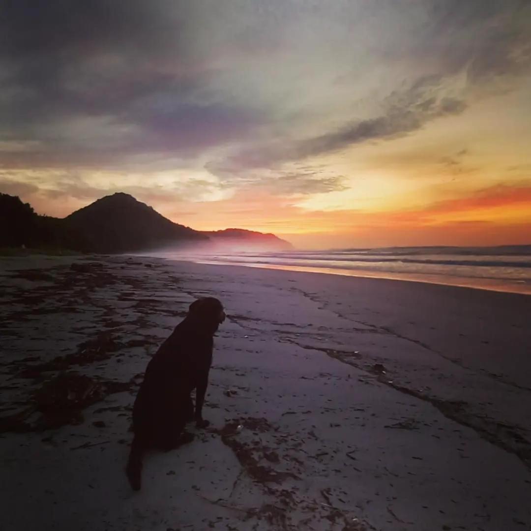 Praia De Itamambuca- Casa Charmosa E Iluminada Ubatuba Eksteriør billede