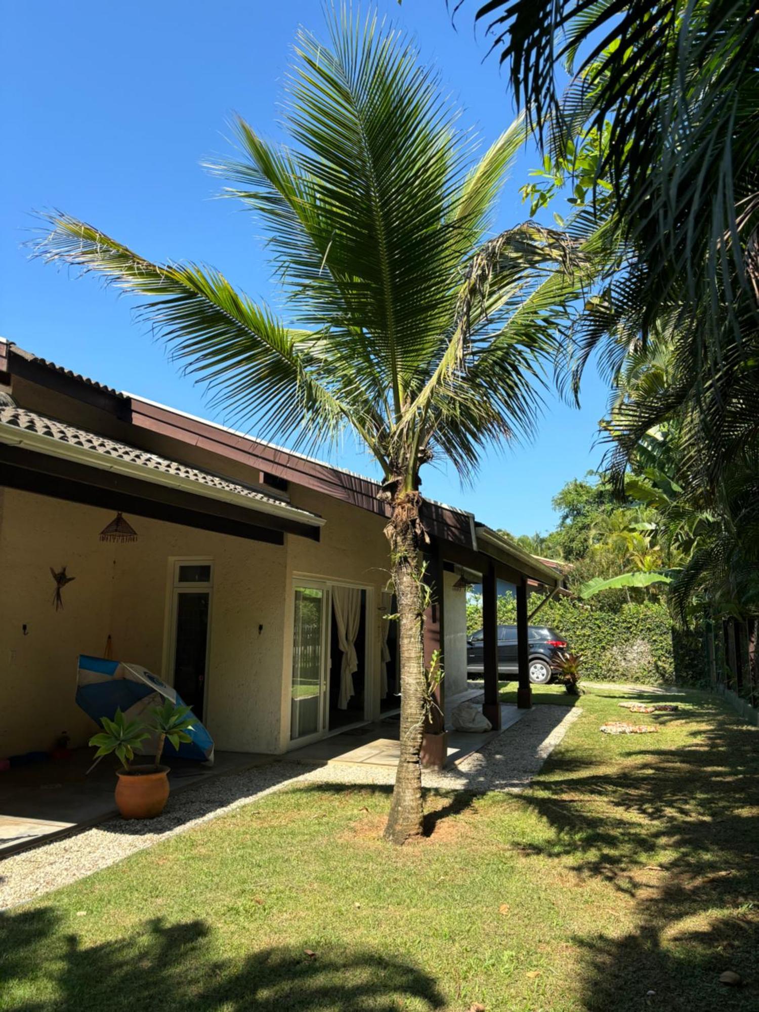 Praia De Itamambuca- Casa Charmosa E Iluminada Ubatuba Eksteriør billede